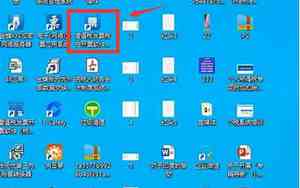 xm会员登录区