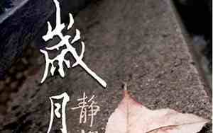 岁月年轻句子怎么写