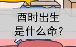 女孩酉时是什么命