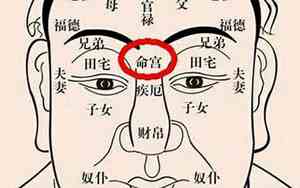 哪里能看面相