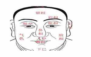 五官外突面相分析
