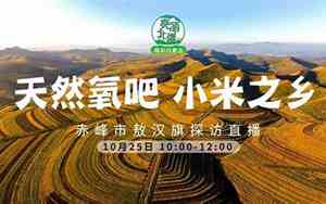 中国敖汉官网