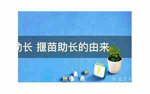 什么苗助长怎么读
