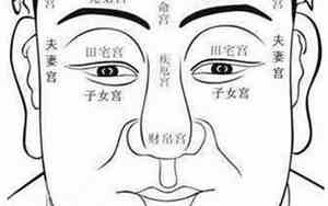 十二宫面相怎么看