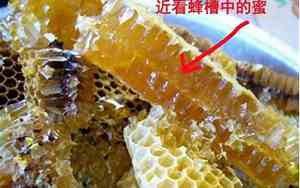 真正的好蜂蜜是什么颜色