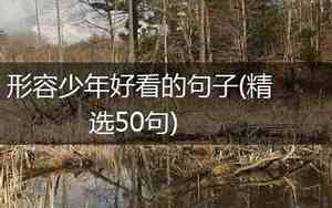 形容芳华美好少年的句子有哪些