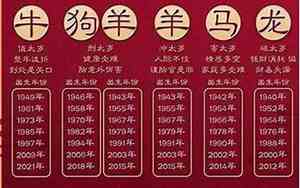 今年是什么年2025年属什么年为什么火宅这么多