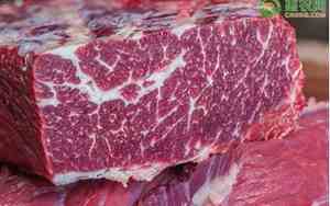 长春市牛肉价格今日价一斤多少钱