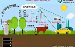 碳和二氧化碳反应是吸热还是放热