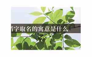韬字取名的寓意男孩