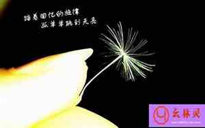 去见亲人激动的句子说说