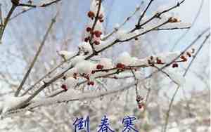 今年有倒春寒吗?