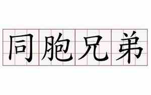 同胞兄弟的含义