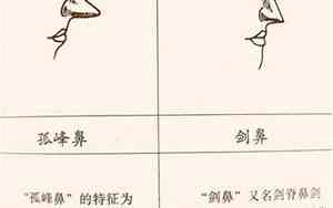 只有鼻子的人面相怎么样