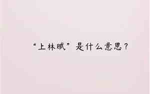 为有传书意,翩翩入上林什么意思