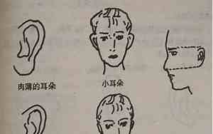 耳垂朝前的男人命运