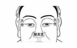 什么动物好面子