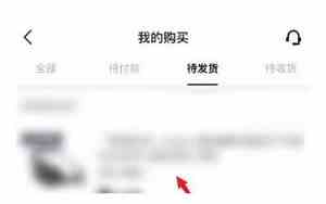得物补单是什么意思,是卖家的鞋不合格吗?