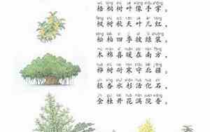 二年级关于树的句子大全