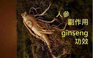 人参取名怎么取