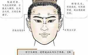 子孙孝顺的意思