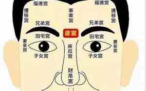 右额头长斑代表什么