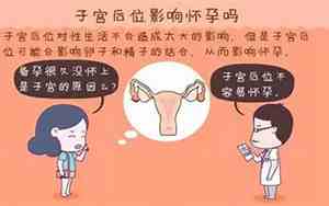 子宫后位受孕图示
