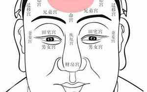 凤颈 面相