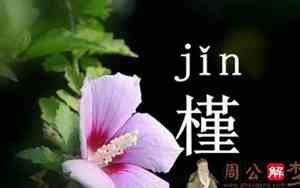 槿字取名好不好