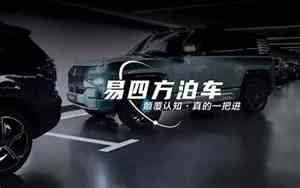 泊车两个字怎么写