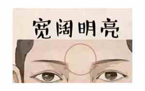 面相基础知识400字