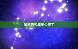 今年属马的多少岁了2024