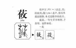 莜字取名寓意的女孩名字