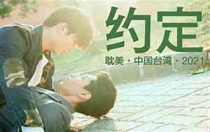 台剧约定电视剧在线观看完整版番外