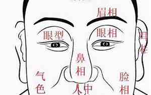反骨面相图