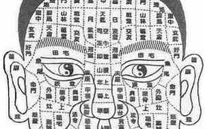 中正纹相学面相全解pdf