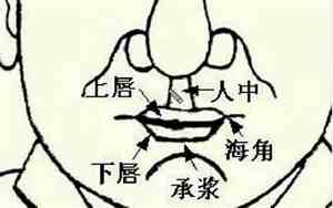 互相尊重的人面相特征有哪些