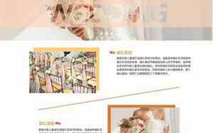 婚庆品牌介绍词语