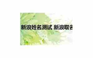新浪取名打分