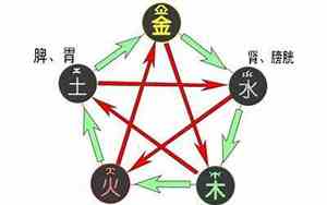 人身五行心属火肺属金