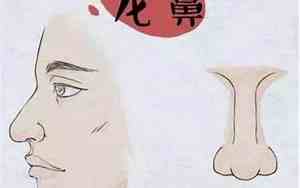 伏犀鼻子面相