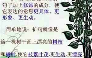 什么的稻田什么造句