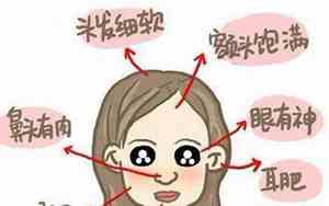 圆脸旺夫的面相女图片