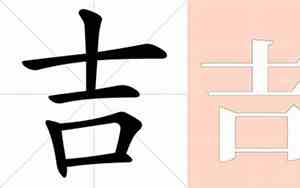 嘉的意思