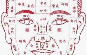 头低是什么面相图片