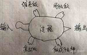头像乌龟的有什么动物