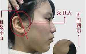 哪样的耳朵最好看面相图片