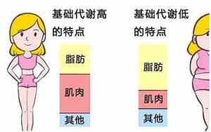 吃不胖的人好不好