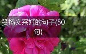 夸赞朋友文采好的句子简短