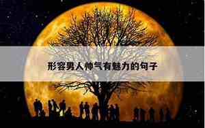 描写帅气男孩的句子有哪些